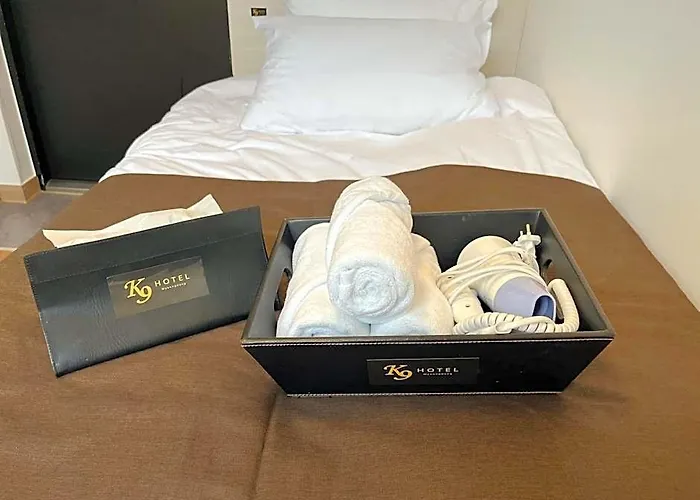 Hotel K9 Myeongdong 2*